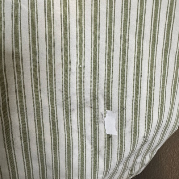 English Factory Green and Cream Striped Pants. Good Used Condition - Picture 5 of 6